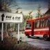 Pai (@paitoronto) Twitter profile photo