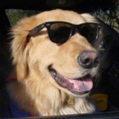 DelMarVa's Online Pet Magazine, Pet Events Calendar & Pet Resources Directory