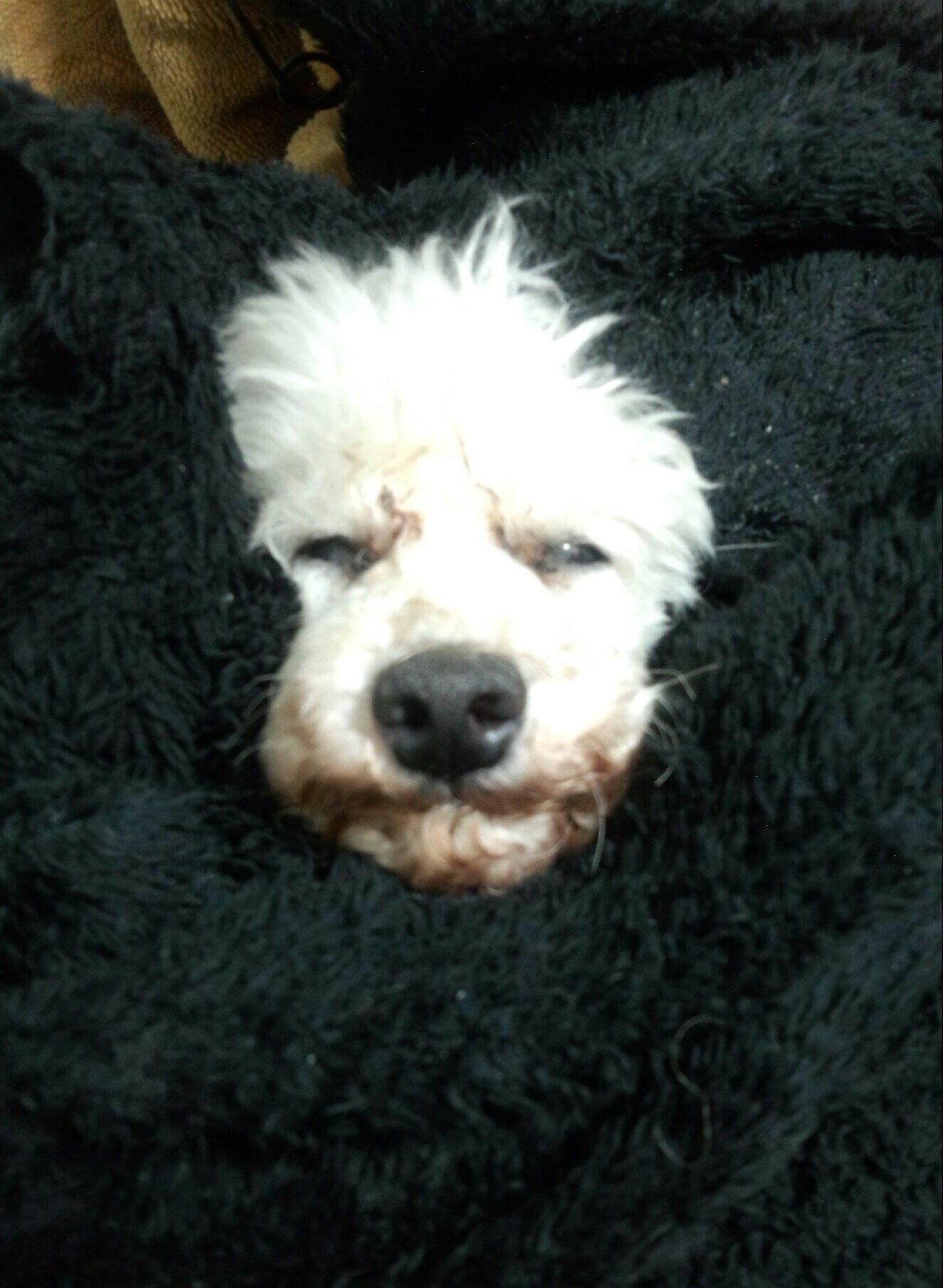 michiharu1222's profile picture. 