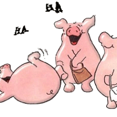 usaproudone's profile picture. Conservative....Outspoken (not politically correct)...mother/ Grandmother  Loves God Family and Country. Loves dogs .🇺🇸