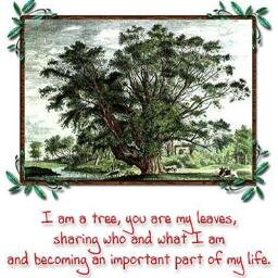 ahamedmafaz2's profile picture. 