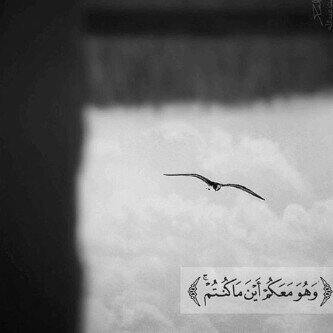 حساب يهدف الى نشر ايات القرآن الكريم والأحاديث بهدف عدم هجر كتاب الله عز وجل والاستفاده من وقت الفراغ بقرآءة بعض الآيات والأحاديث النبويه ، #حساب_إسلامي