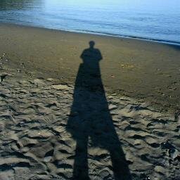 konchikichi's profile picture. ／(・ x ・)＼