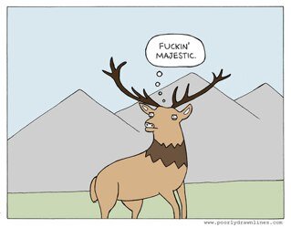 The funniest comics you'll ever see
