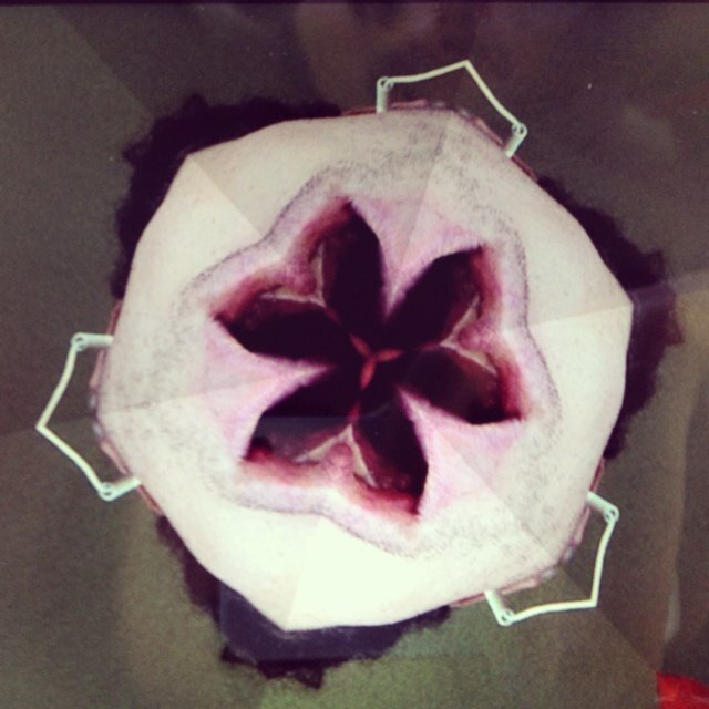 AviZahner's profile picture. 