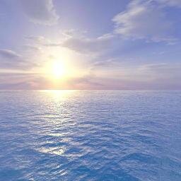 anxietyhelp1111's profile picture. 