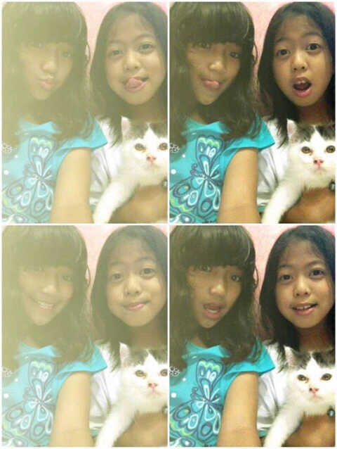 Hello! You Can Follow This Twitter :)