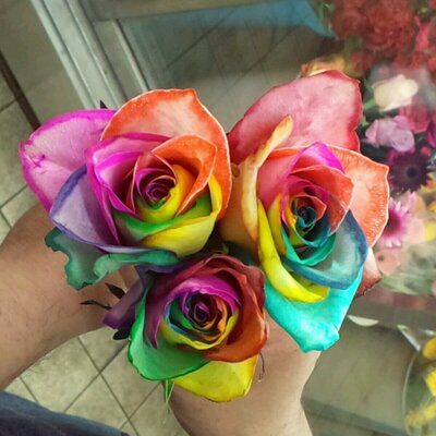Uzivatel 成田生花店新着情報 Na Twitteru 黒い薔薇 花言葉はなんだろう ブラックローズ 黒薔薇 黒バラ T Co Aubqwwo2vl Uzivatel 成田生花店新着情報 Na Twitteru 黒い薔薇 花言葉はなんだろう ブラックローズ 黒薔薇 黒バラ T Co Aubqwwo2vl