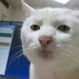 一行で笑ったら寝ろ Waranerobot Twitter