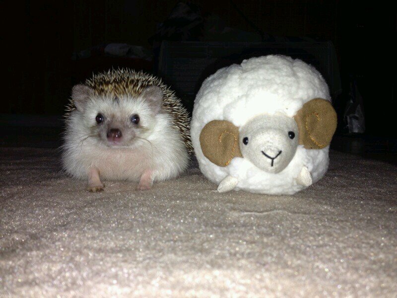 1966kei's profile picture. 