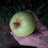 DehesasElBierzo's profile image