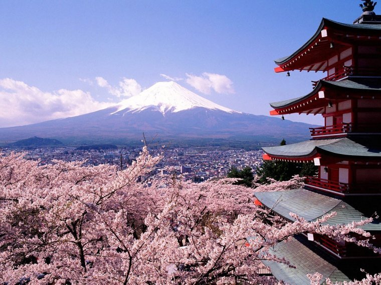 #Japon #BlogVoyage disponible pour échange de lien !