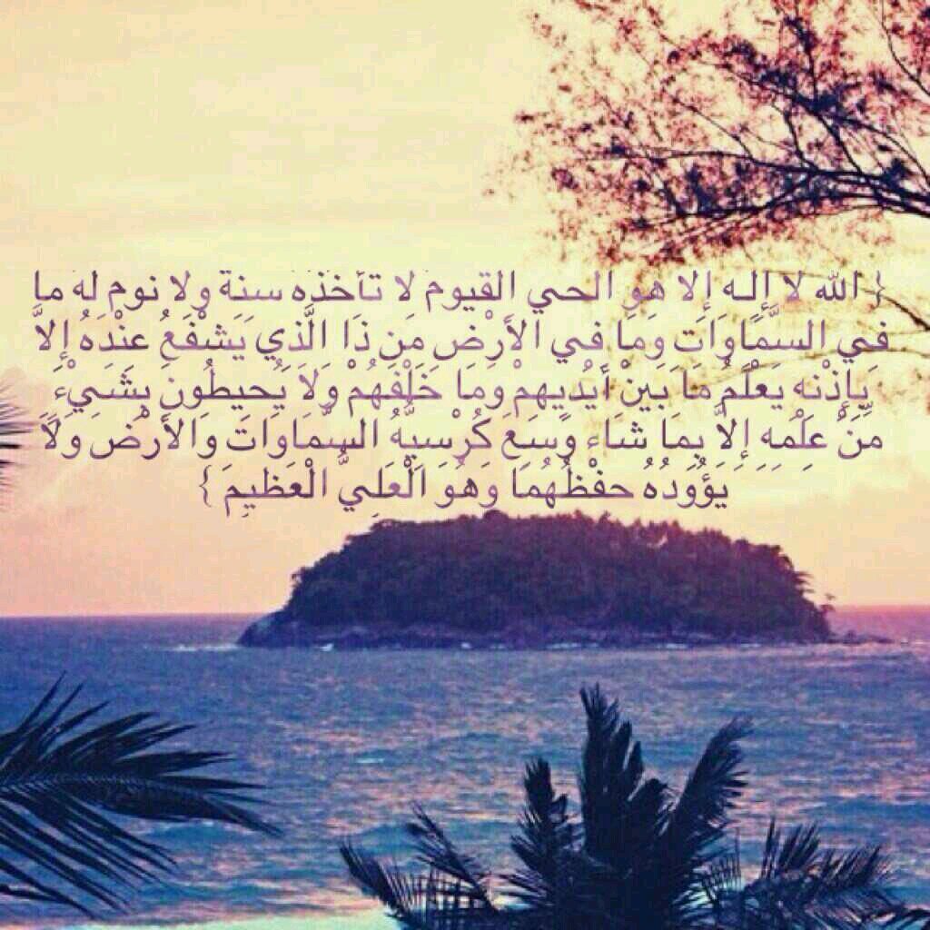 -                   saudi arabia♡~