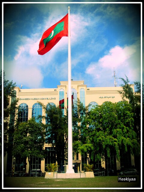 ahmed_shifaau's profile picture. 