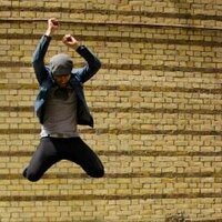Fulhäst (@fulhast) 's Twitter Profile