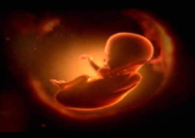 SAVEGIRLSRIGHTS's profile picture. I follow back