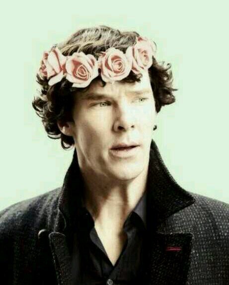 Writer to @sincerelyholmes | Life mate to @fandomophile | @fassy_hiddles is my teacup | #CumberCollective  #sassyflakes #Smalanna