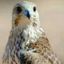 ووزد ذ (@22Xaz) Twitter