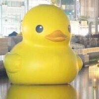 kedama (@charikd) 's Twitter Profile