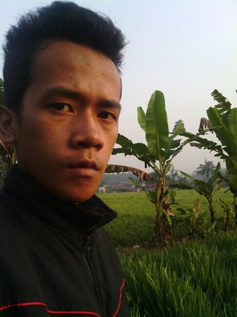 74aa63e8
