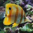 Jacob - @JacobenJenny - Twitter