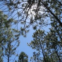 Adicta a la tecnología. Amante de la programación. Proyecto de Astrofotógrafa. Deportista.