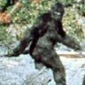 JimmyDenzlinger's profile picture. 