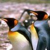 BonnieW68615571 Profile Picture