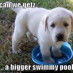 That swim life though...