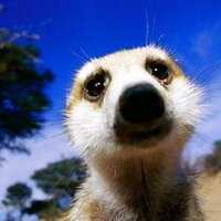 BooS (@trboos) 's Twitter Profile