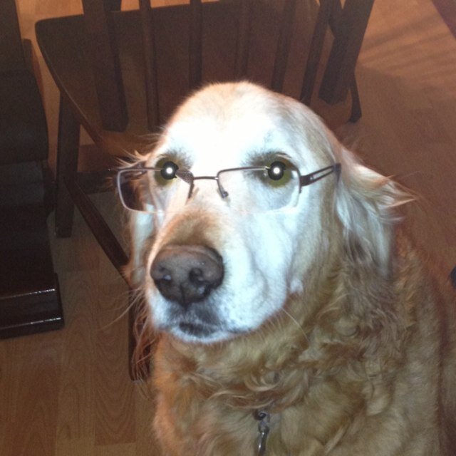 coloradocorn's profile picture. 