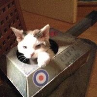 Jazzman (@jazzmancat) 's Twitter Profile