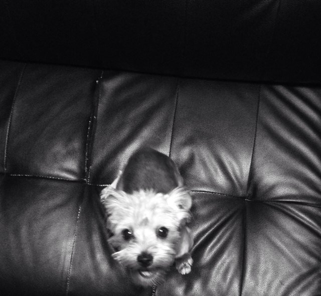 momovich2's profile picture. 