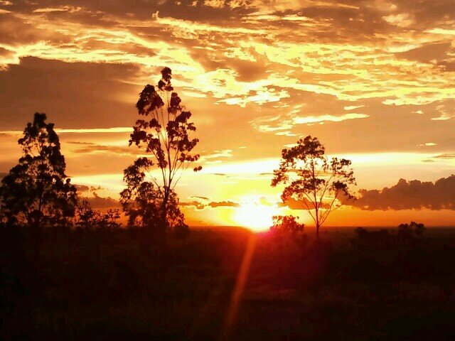 omimtas192's profile picture. 