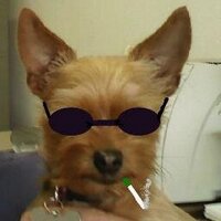 Achilles' Other Heel (@anyagv2) 's Twitter Profile