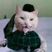 joseph driste (@josephdriste) Twitter profile photo