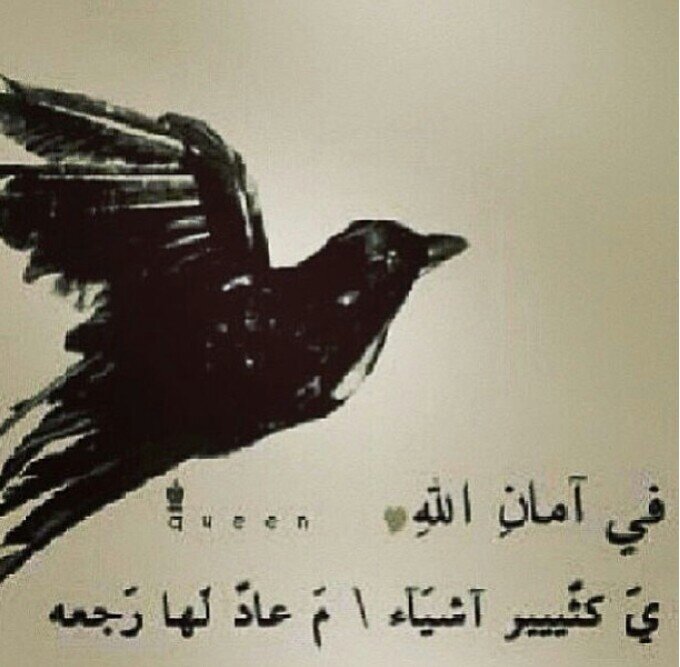 ابنة لرجل عظيم صاحب الذكر العطر ( ابو حمد )