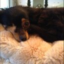 Wendy koch - @ellacakes - Twitter