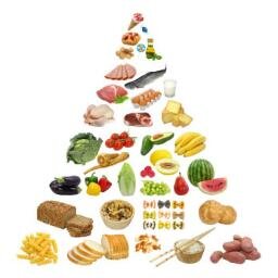 Follow us out for free advice on high protein foods and how to stay healthy.