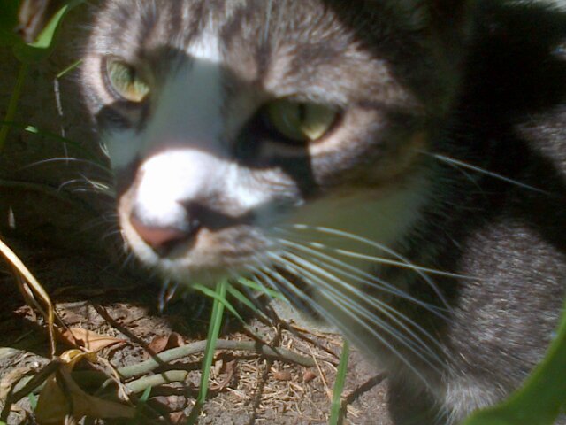 Nutty luvs diverse opinions luvs to read network entertained by strangers to laugh!  Strive to be kind Enjoys your humour