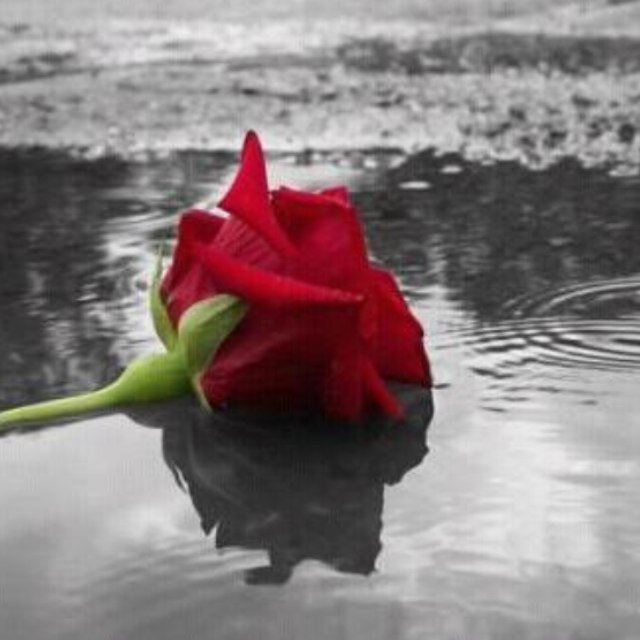 Nothing more beautiful than to say thank God..☀