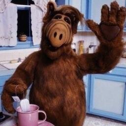 andyfrrr's profile picture. дурочка с переулочка