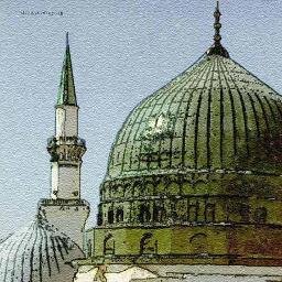 Indian Muslim Profile
