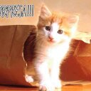 Maria Eva Campos  - @15Mariaeva - Twitter