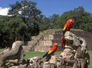 tour_Honduras's profile picture. Dedicados a promover los lugares turisticos de Honduras. Instagaram : tourHonduras