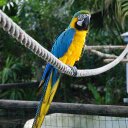 Eric Poulsen - @EricPoulsen1 - Twitter