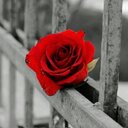شموخ انثى ~ (@234_noonaa) Twitter