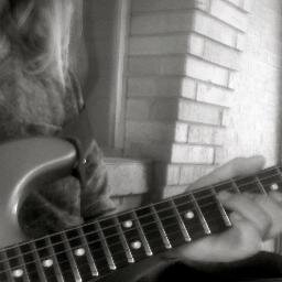 donsrygleymusic's profile picture. 