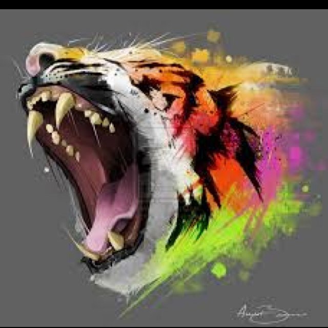 Zak_Naden's profile picture. 