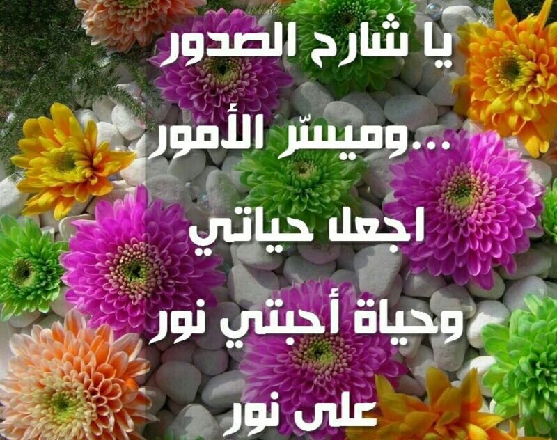 🌷معلمة مهارات بحث ومصادر معلومات🌷 اطمح إلى تطوير ذاتي وارتجي التوفيق من ربي💞
